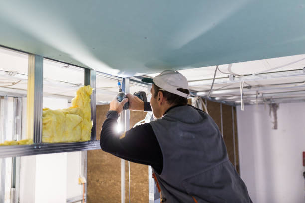 Best Energy Efficiency Insulation in Forestbrook, SC