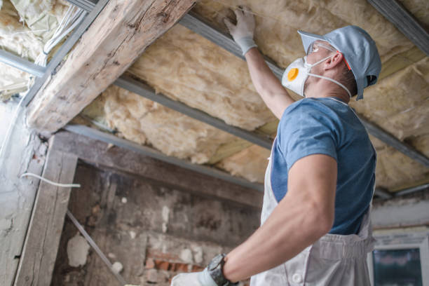 Best Eco-Friendly Insulation in Forestbrook, SC