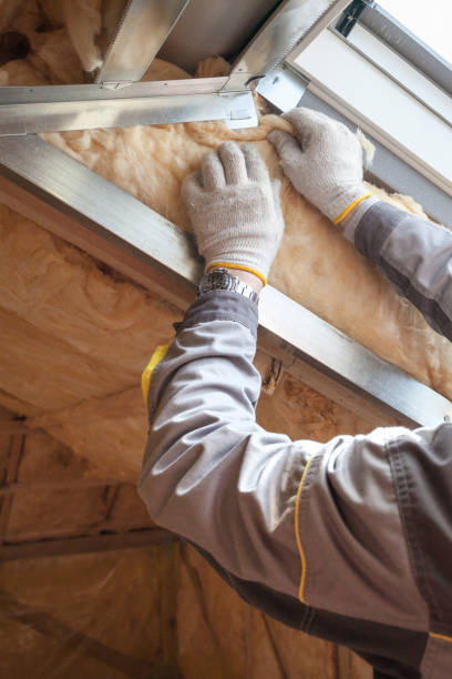 Types of Insulation We Offer in Forestbrook, SC